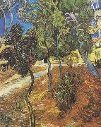 Vincent Van Gogh Trees in the garden of the Hospital Saint-Paul china oil painting artist